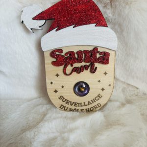 Santa cam
