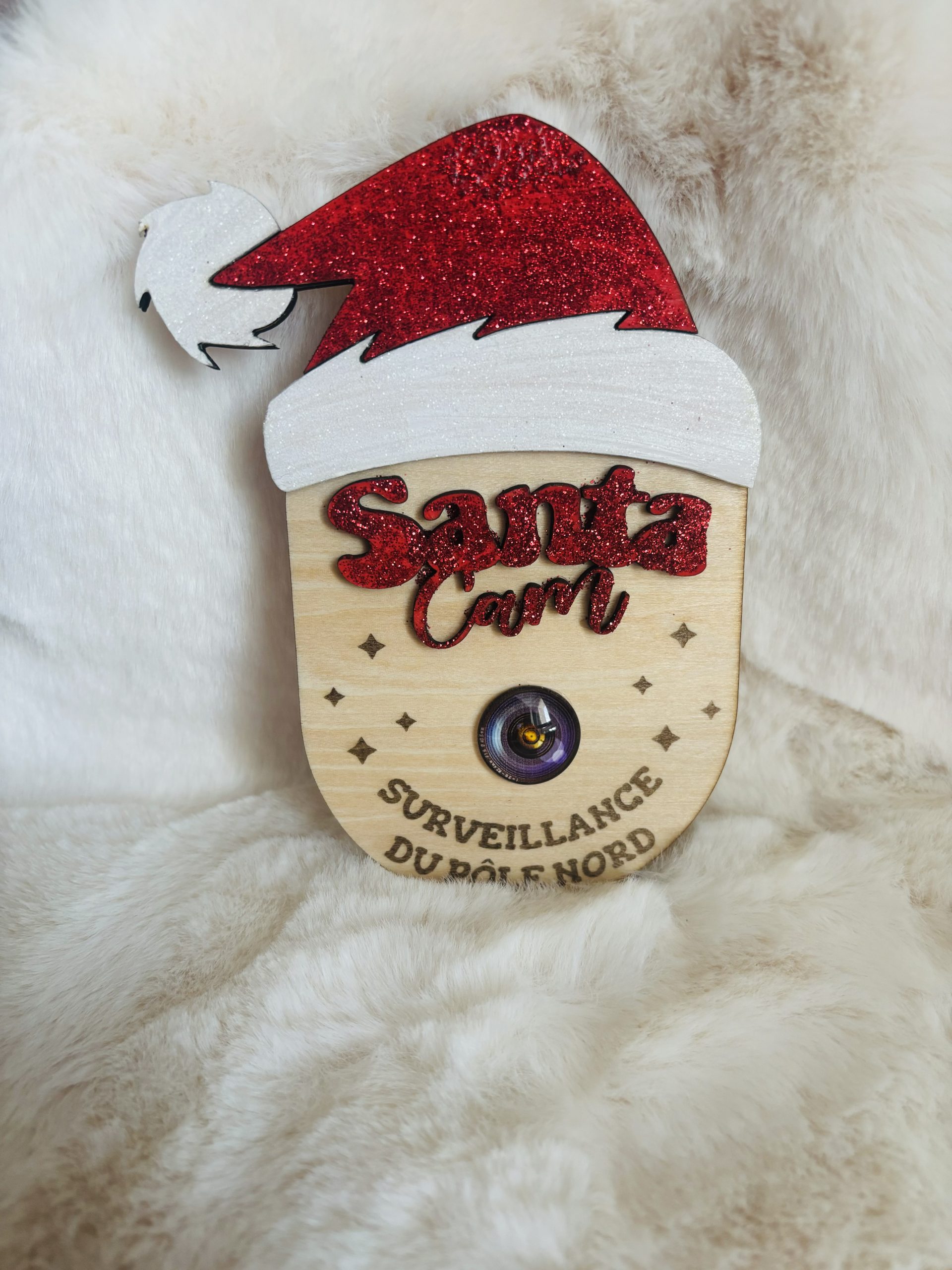 Santa cam