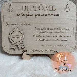 Diplome connasse